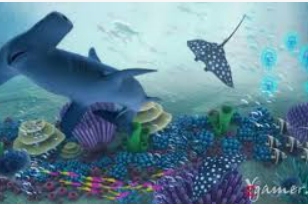 问鼎wd28娱乐手机版